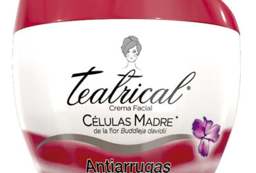 TEATRICAL CREMA ANTIARRUGAS 100 G(SF)