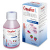 CRONOFEN L JARABE 100 ML