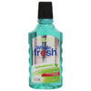 ENJ. WHOLEFRESH REFRESHMINT 500 ML ICOM