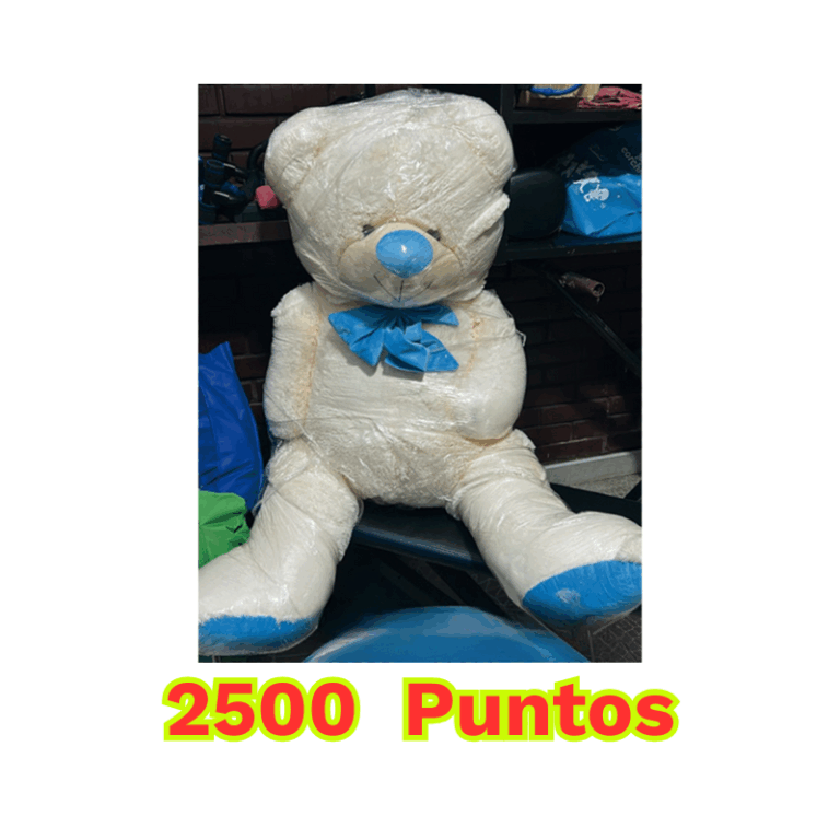 Oso Peluche 1M
