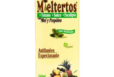 MIELTERTOS JARABE 240 ML NF