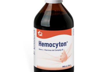 HEMOCYTON JARABE 340 ML MK