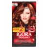 IGORA BRILLANCE D.T 777 COBRIZO SENSACI.
