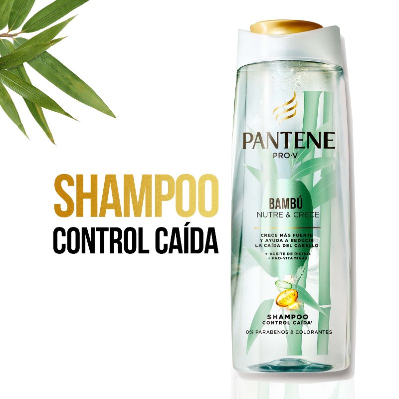 CHA.PANTENE CONTROL CAIDA BAMBU 200 ML - Imagen 5